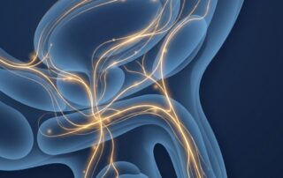 Glowing nerve pathway illustration representing penis enhancement sensation preservation through protective anatomy