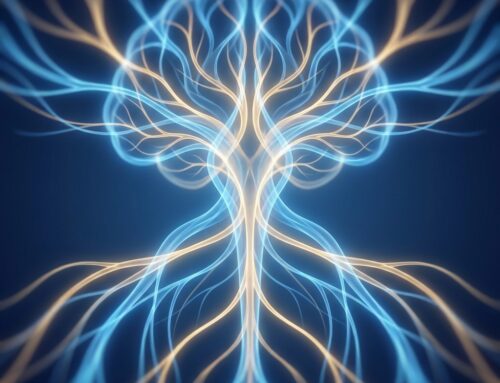 Penis Filler Procedure Local Anesthesia Technique: The Nerve Block Anatomy Guide