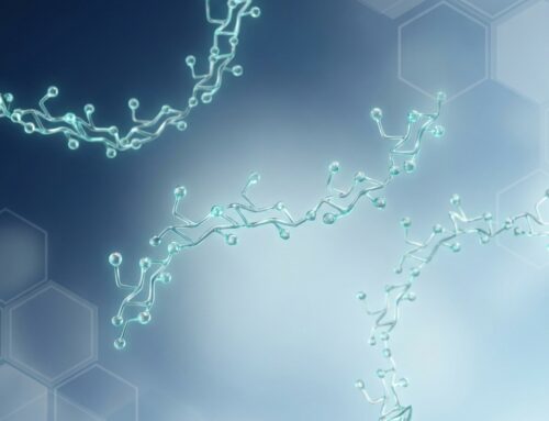 Biocompatible Penile Filler Materials: The Molecular Science Behind Safe HA Injections