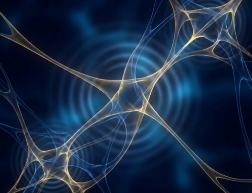 Male Enhancement Collagen Stimulating Fillers: The Neocollagenesis Science Behind Lasting Results