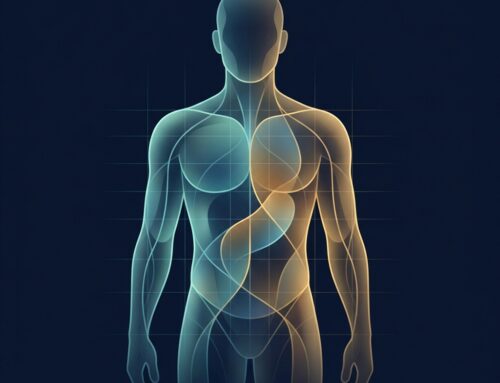 Male Genital Filler Injection Sites: The Anatomical Zone Map Explained