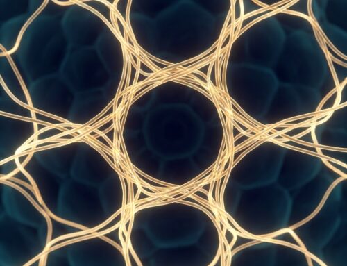 Penis Enlargement Collagen Stimulation Mechanism: The Cellular Science Behind Permanent Girth