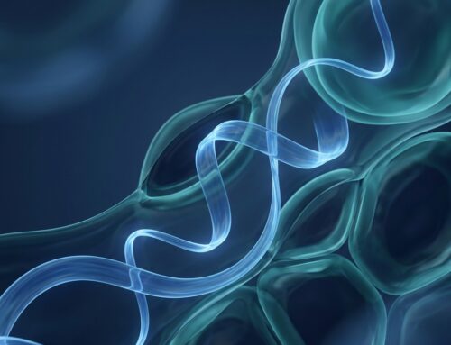 Hyaluronic Acid for Penile Enlargement: The Rheological Science Behind Why Belefil® Outperforms Generic HA Fillers